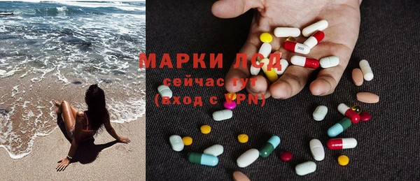 прущие грибы Володарск