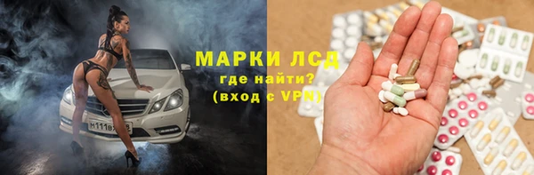 прущие грибы Володарск