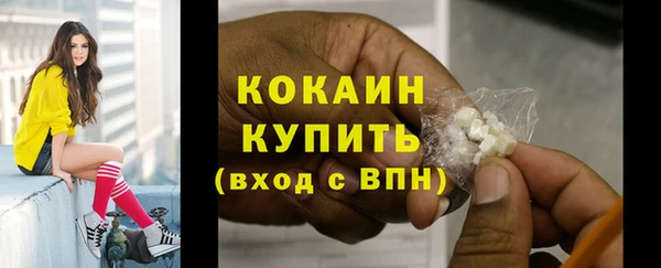 прущие грибы Володарск