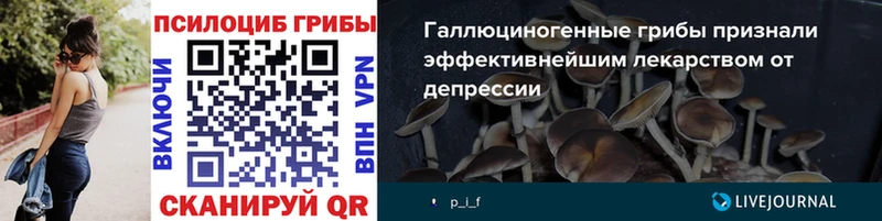 Псилоцибиновые грибы MAGIC MUSHROOMS  Купить закладки  Котельнич 