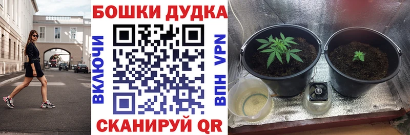 Шишки марихуана семена  Купить  Котельнич 